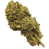 OG Kush CBD