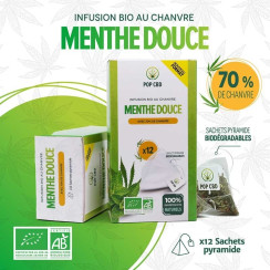 Infusion MENTHE en sachet pyramide