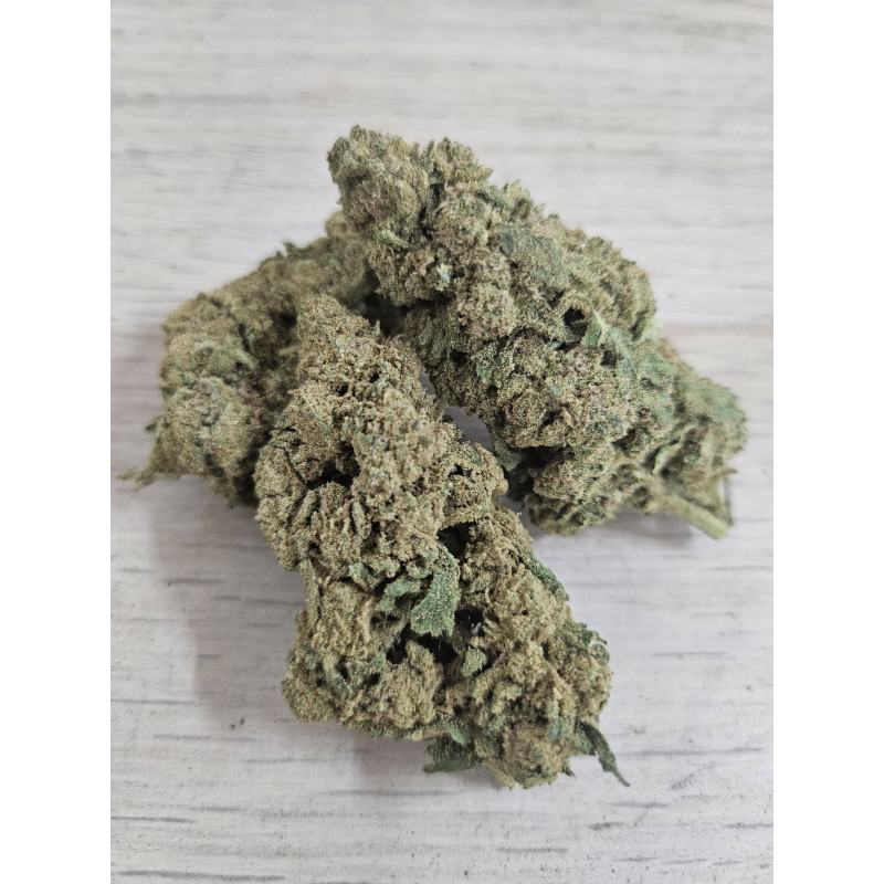Sour Diesel Gold Pollen Boost CBD – Fleur Premium Enrobée de Pollen | Édition Signature