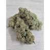 Sour Diesel Gold Pollen Boost CBD – Fleur Premium Enrobée de Pollen | Édition Signature