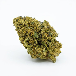 Jack Herer CBD