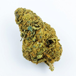 Orange Bud CBD