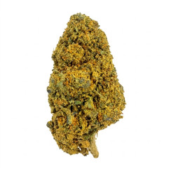 Gelato CBD