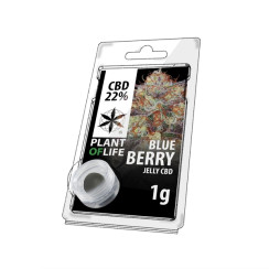 Jelly Blueberry CBD Résine CBD 1g