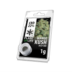 Jelly Mango Kush CBD Résine CBD 1g