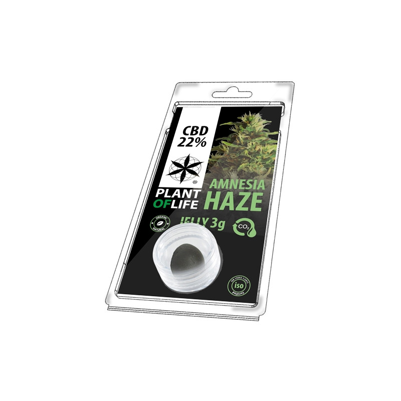 Jelly Amnésia CBD Résine CBD 3g
