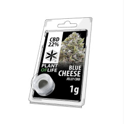 Jelly Blue Cheese CBD Résine CBD 1g