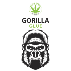 Gorilla Glue CBD