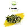 Cannatonic CBD