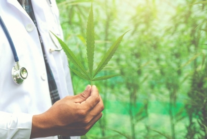 CBD pour le traitement contre le cancer et autres bienfaits