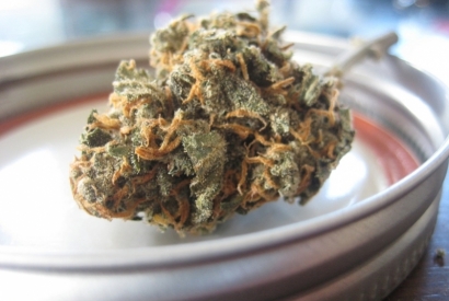 Dossier CBD : ce qu’il faut savoir